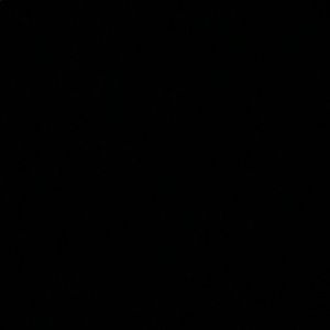 Meet your Posher, Sunshine